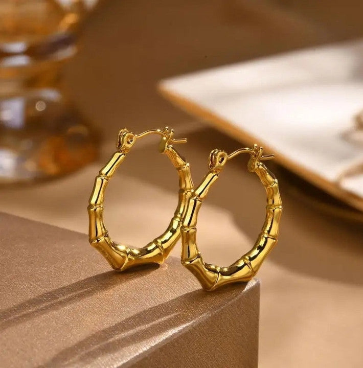 Round hoops earrings