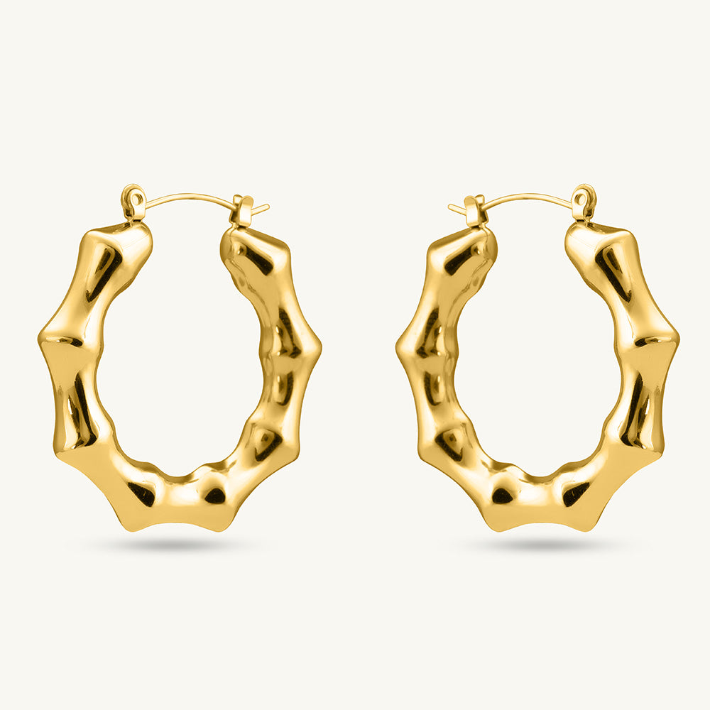 Round hoops earrings